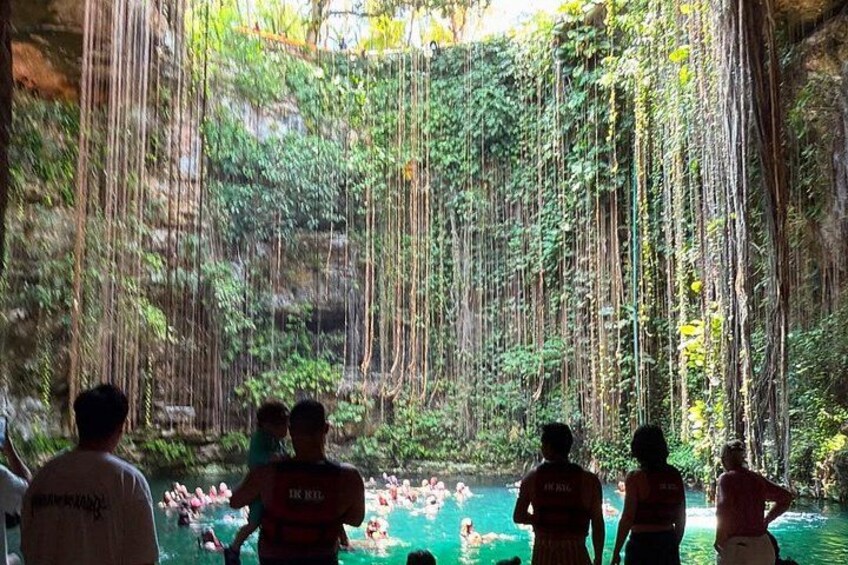 A natural pool surrounded by dense foliage and hanging vines. 4
