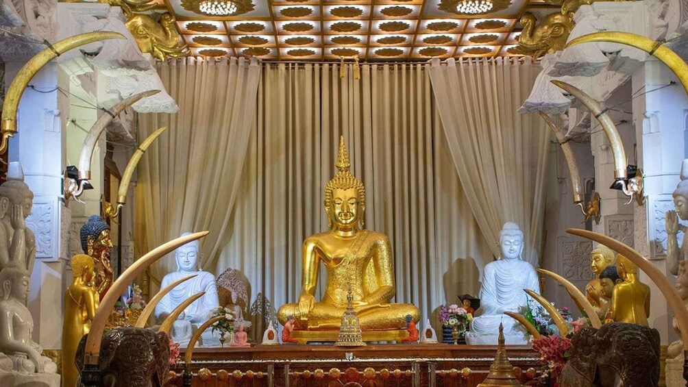 Picture 6 for Activity Colombo: All-Inclusive Kandy Temple and Tea Factory Day Trip 5