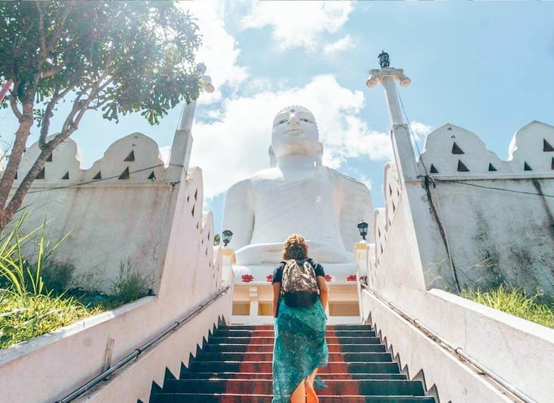From Colombo: Kandy Temple & Botanic Garden Day Tour 2