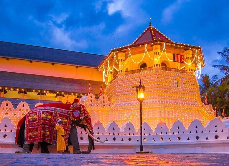Picture 1 for Activity From Colombo: Kandy Temple & Botanic Garden Day Tour 1
