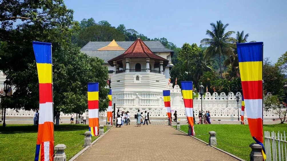 Picture 7 for Activity Colombo: All-Inclusive Kandy Temple and Tea Factory Day Trip 4