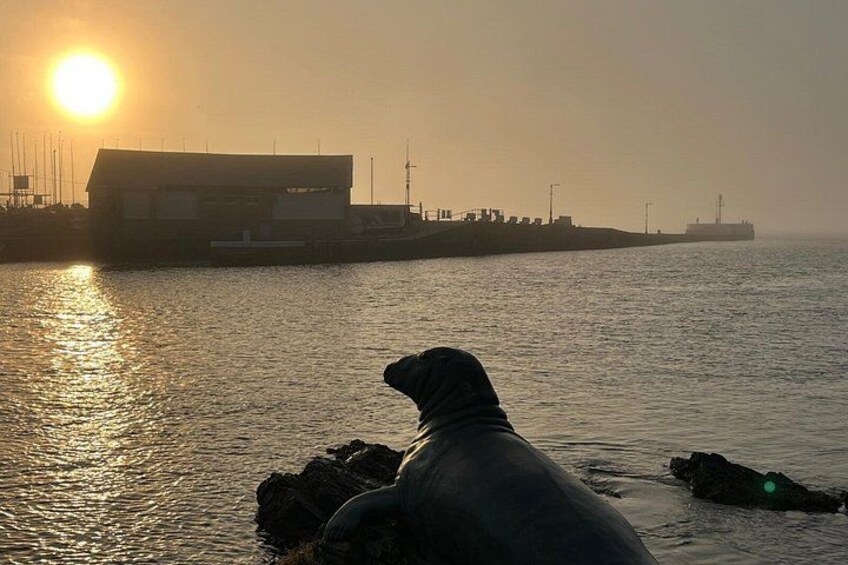 A seal on rocks near a pier with the sun setting in the background. 2
