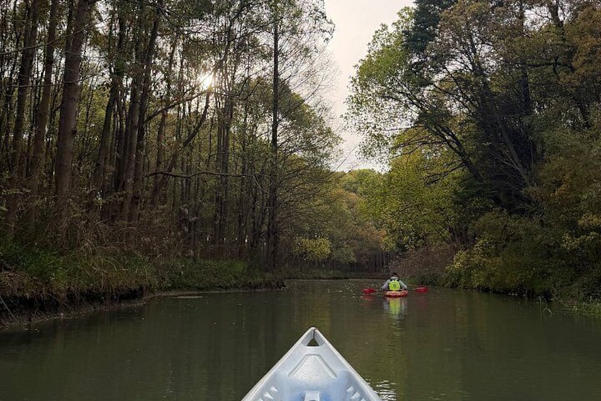 A river with a kayak and a canoe, surrounded by dense trees. 5