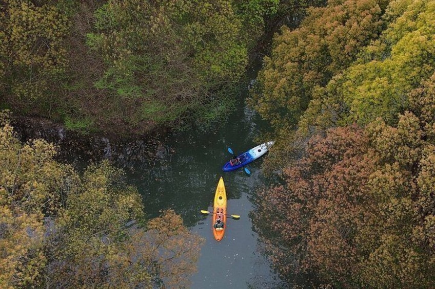 A river with kayaks and a canoe. 3
