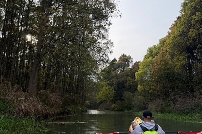 A person in a canoe on a river surrounded by dense trees. 1