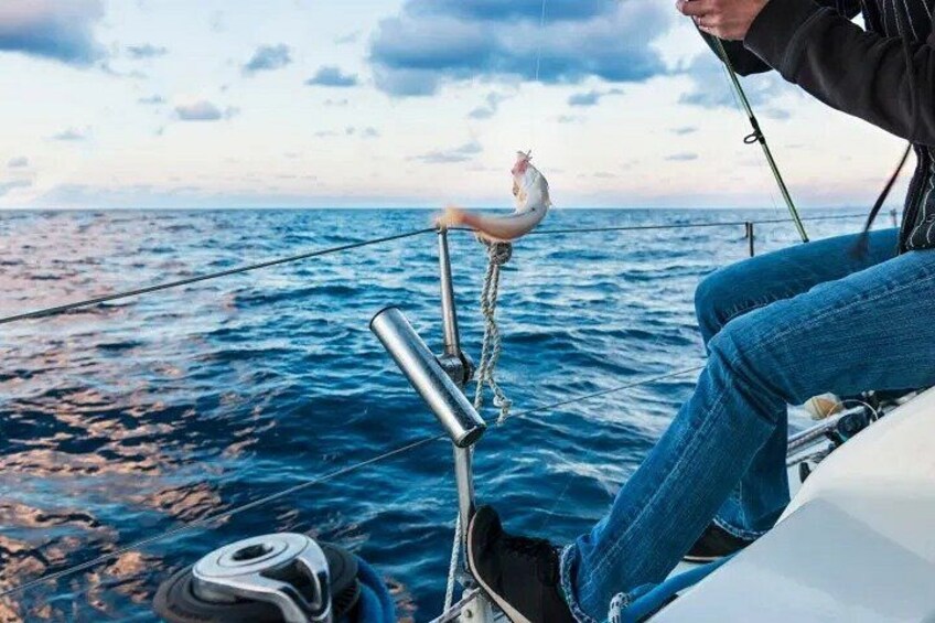 Una persona en un bote sosteniendo una caña de pescar, con un pez en el anzuelo y el océano al fondo. 2