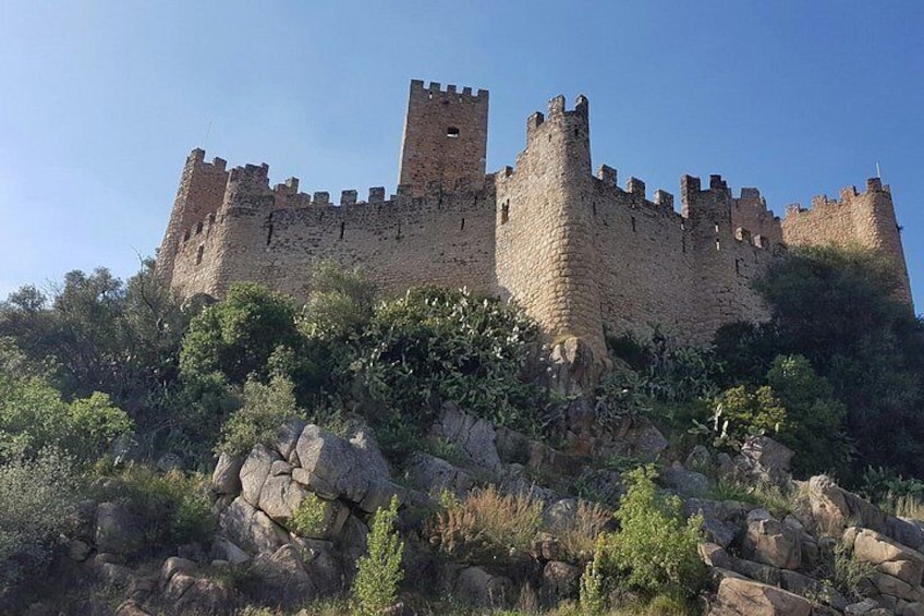 A medieval castle with multiple towers and battlements, surrounded by rocky terrain and sparse vegetation. 3