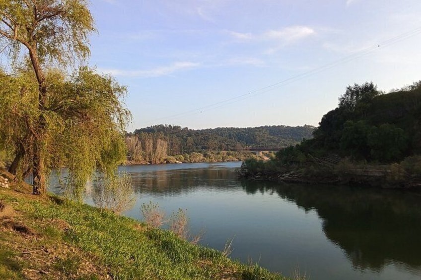 A calm river with trees on the banks, a clear sky, and a distant hill. 5