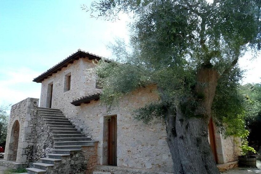 Half Day Tour with Olive Oil and Wine Tasting Experience 4