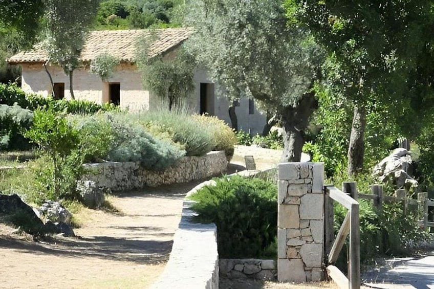 Half Day Tour with Olive Oil and Wine Tasting Experience 2