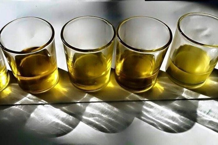 Half Day Tour with Olive Oil and Wine Tasting Experience 5