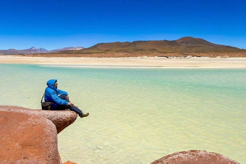 Piedras Rojas Tour Explore Altiplanic Lagoons and Chaxa 4