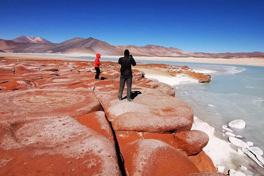 Piedras Rojas Tour Explore Altiplanic Lagoons and Chaxa 5