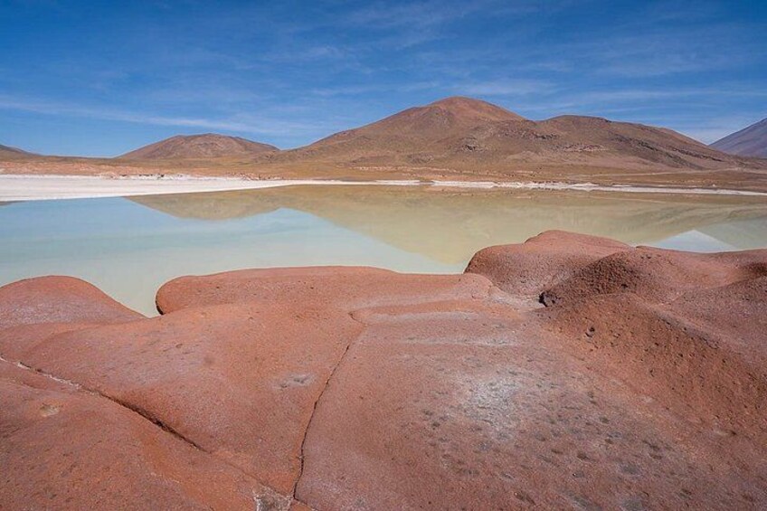 Piedras Rojas Tour Explore Altiplanic Lagoons and Chaxa 2