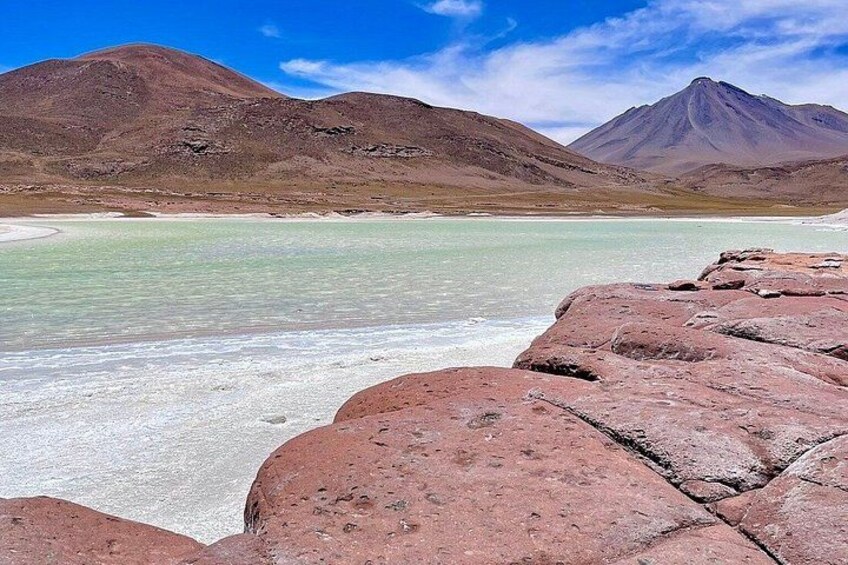 Piedras Rojas Tour Explore Altiplanic Lagoons and Chaxa 3