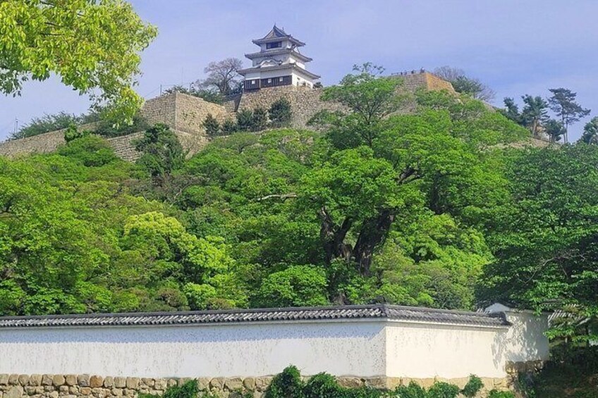 A traditional Japanese pagoda on a hill, surrounded by lush greenery. 1