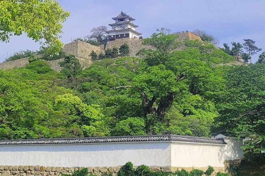 A traditional Japanese pagoda on a hill, surrounded by lush greenery. 1