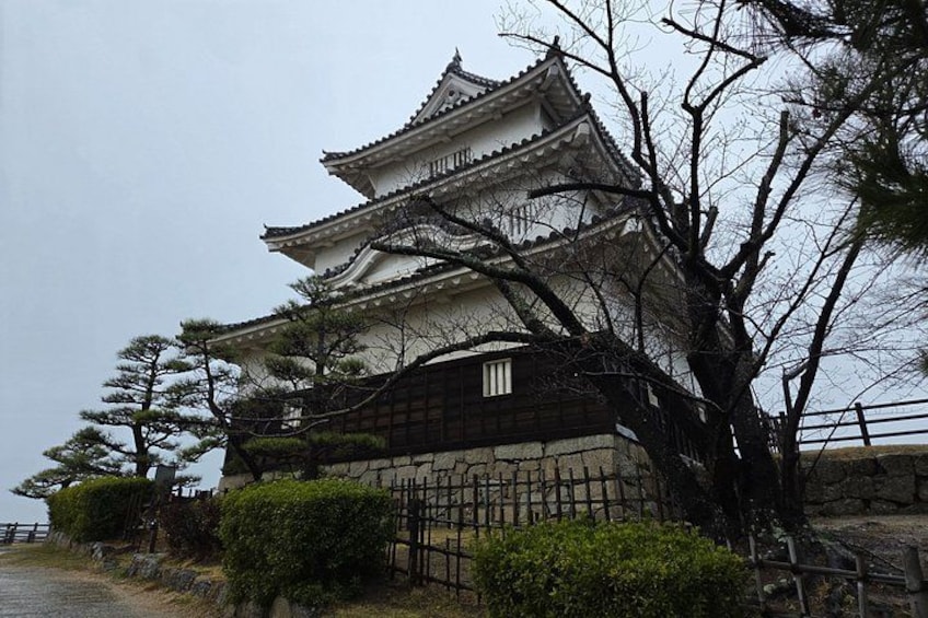 A traditional Japanese castle with multiple tiers, surrounded by trees and a stone wall. 4