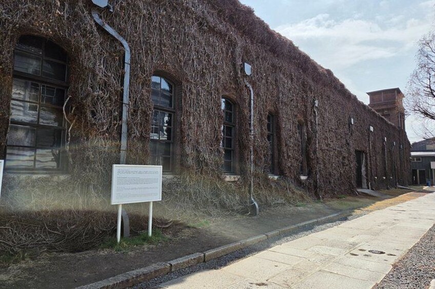 A building covered in ivy, a sidewalk, and a street lamp. 2