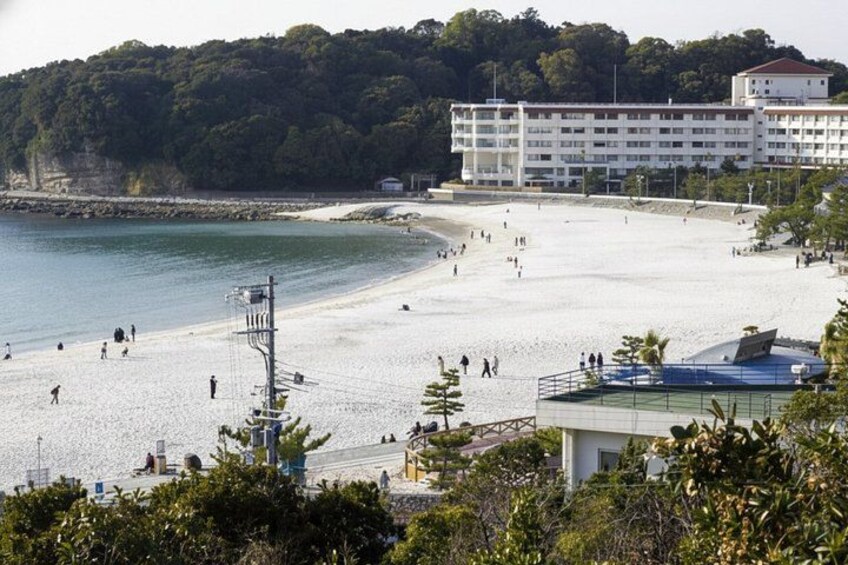 Wakayama: Private Custom Tour with Local Guide 2
