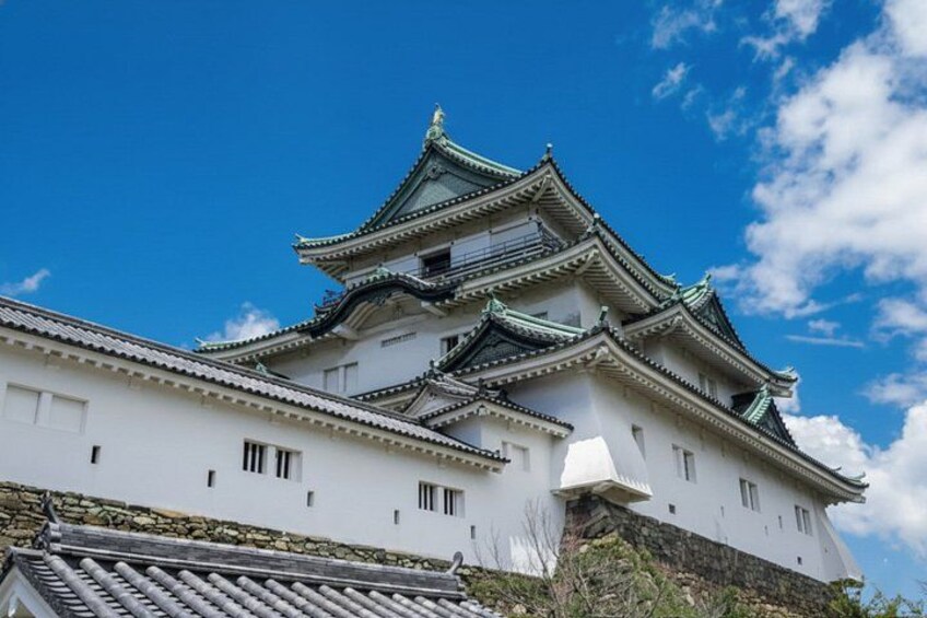 Wakayama: Private Custom Tour with Local Guide 1