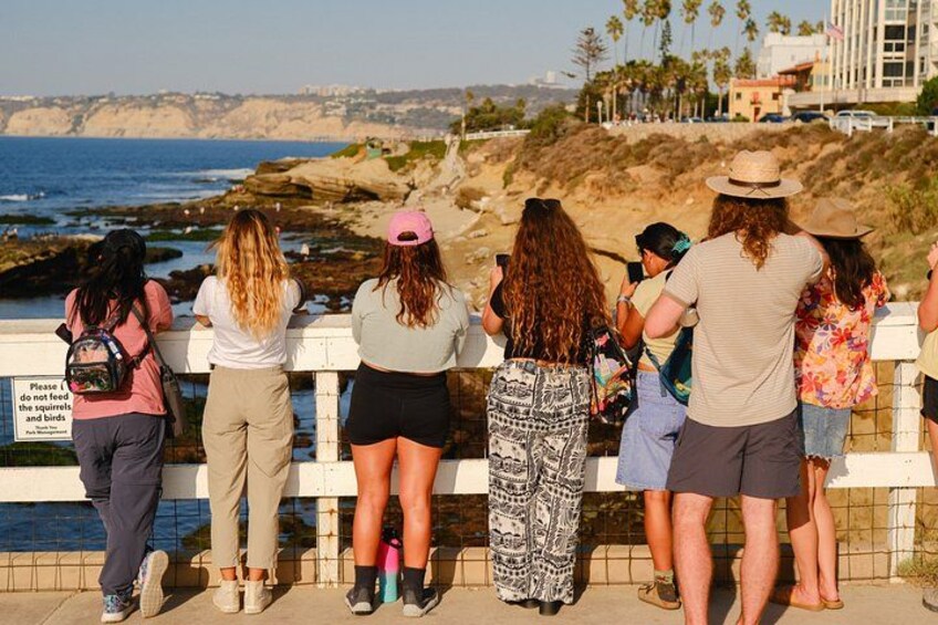 People standing by a railing overlooking a coastal landscape with cliffs and the ocean. 3