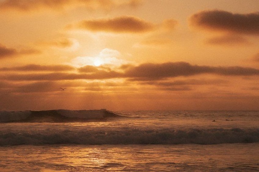 A sunset over the ocean with waves and a bird in the sky. 2