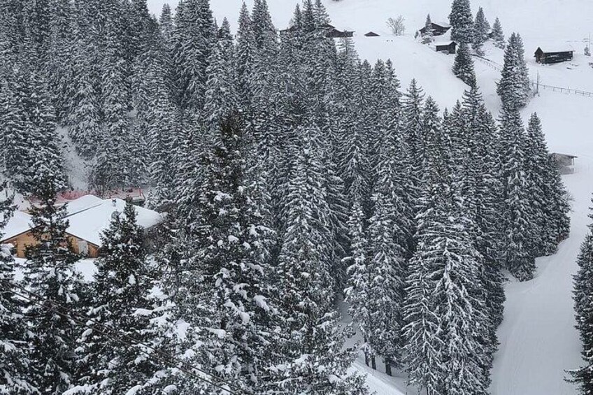 rom Zurich: Swiss Alps, Alpine Villages & Farm Visit Private Tour 2