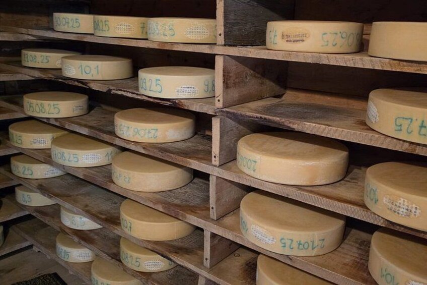 Shelves with round cheese wheels labeled with numbers. 2