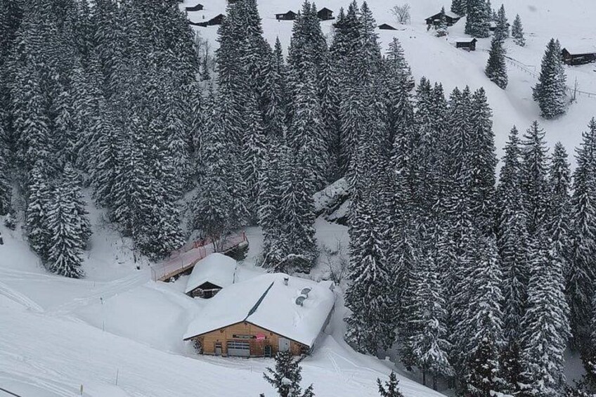 A snow-covered mountain with a wooden cabin and dense evergreen trees. 4