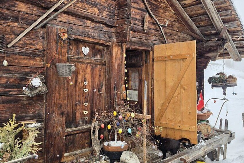 A rustic wooden house with a wooden door, a heart-shaped decoration, and a hanging plant. 3