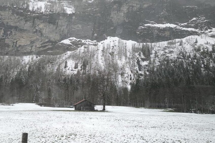 rom Zurich: Swiss Alps, Alpine Villages & Farm Visit Private Tour 5