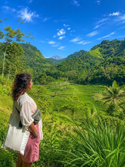 A person standing on a grassy hill overlooking terraced fields and a mountain. 3