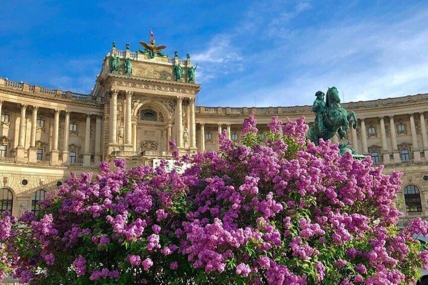 Vienna Gardens City Tour Including Belvedere Palace 4