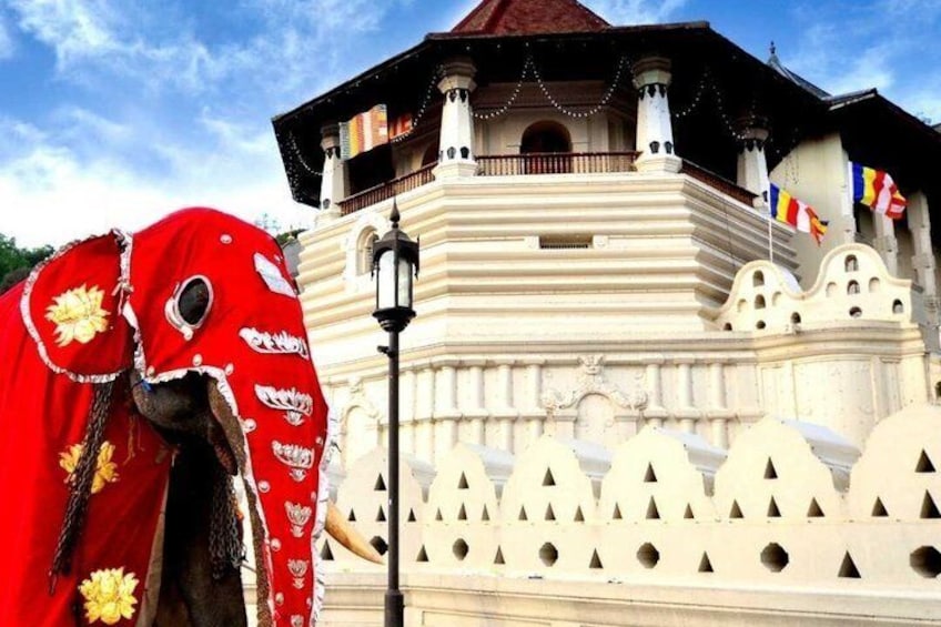 A traditional building with a white facade and a red elephant statue in front. 5