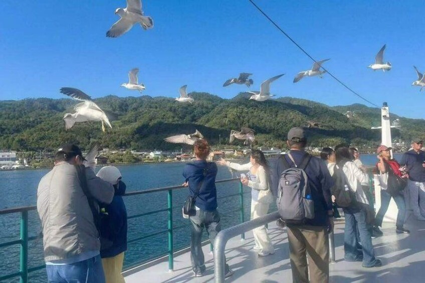 People on a boat with seagulls flying around. 4