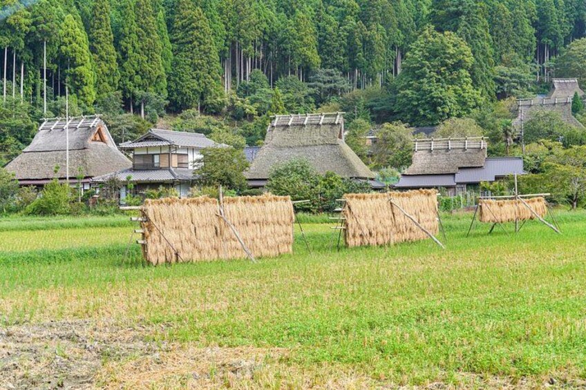 From Kyoto/Osaka: Amanohashidate, Ine Funaya and Miyama Day Tour 4