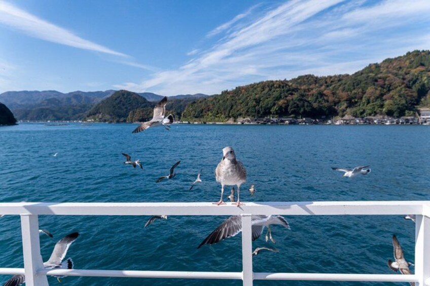 A seagull standing on a boat's railing with a lake and mountains in the background. 3