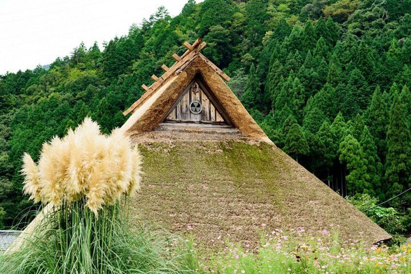 From Kyoto/Osaka: Amanohashidate, Ine Funaya and Miyama Day Tour 3