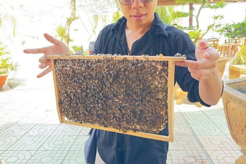 A person holding a beehive frame outdoors. 2
