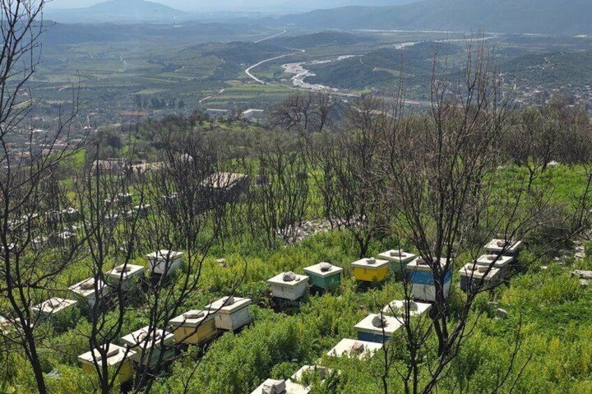 A series of RVs parked on a hillside with a valley and winding road in the background. 5