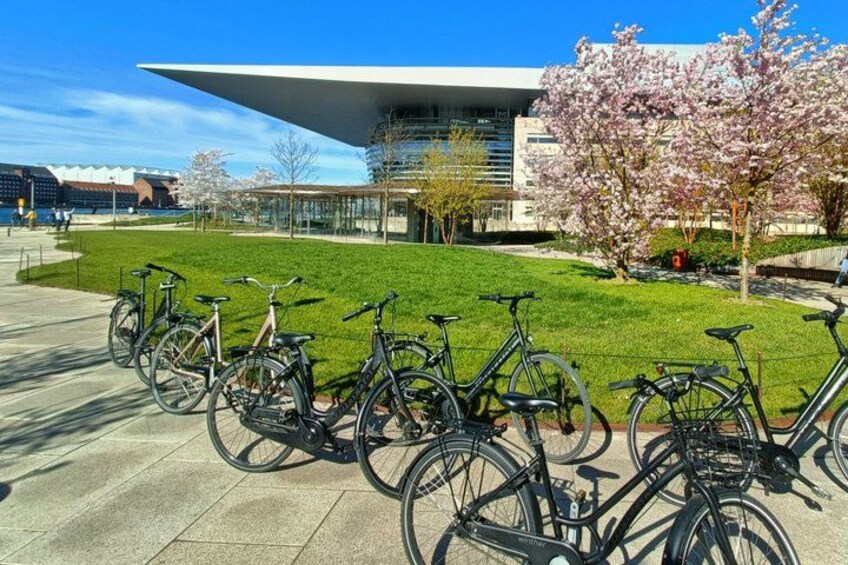 Un bâtiment moderne doté d’une conception architecturale originale, un espace verdoyant agrémenté de cerisiers en fleurs et une rangée de vélos garés sur le trottoir. 2