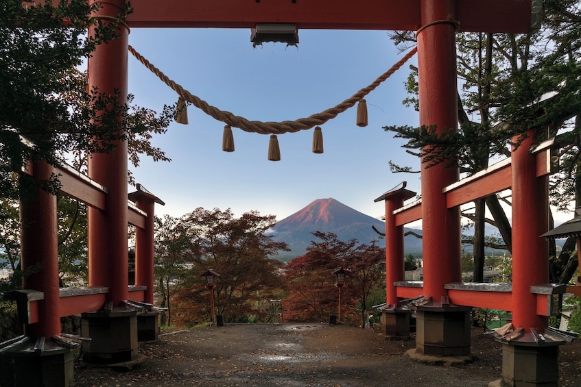 Mount Fuji Small Group Day Tour from Tokyo 4