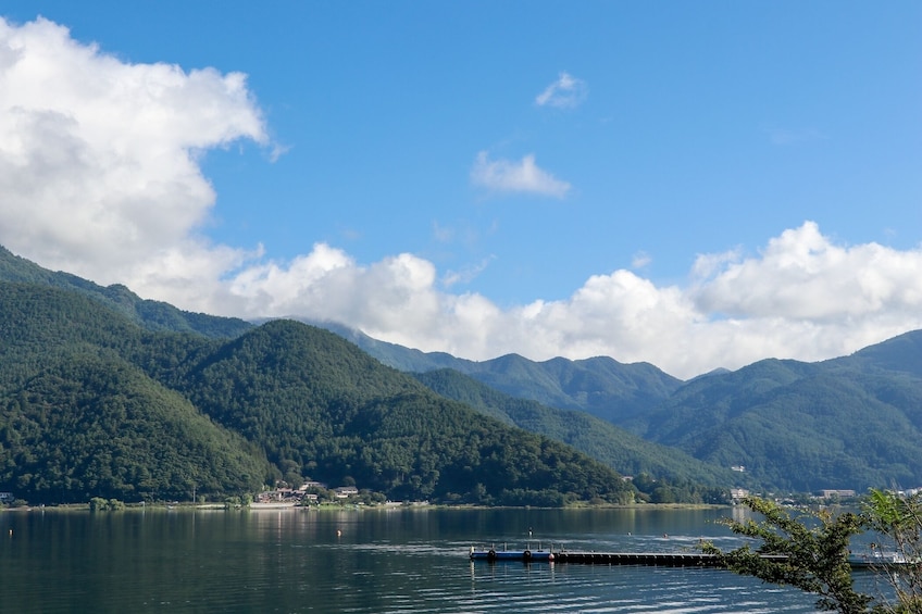 Mount Fuji Small Group Day Tour from Tokyo 5