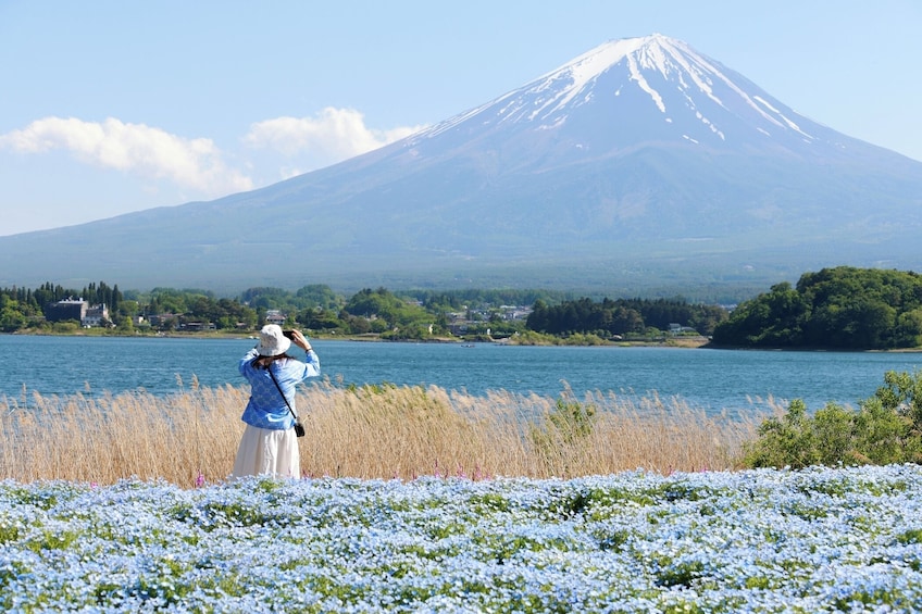 Mount Fuji Small Group Day Tour from Tokyo 1