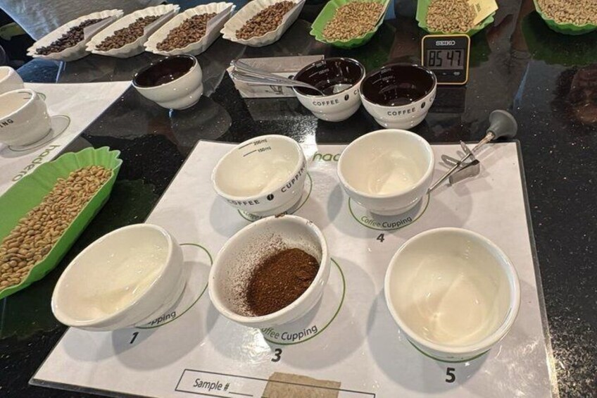 Ethiopian Coffee Experience: Discover the Birthplace of Coffee 2