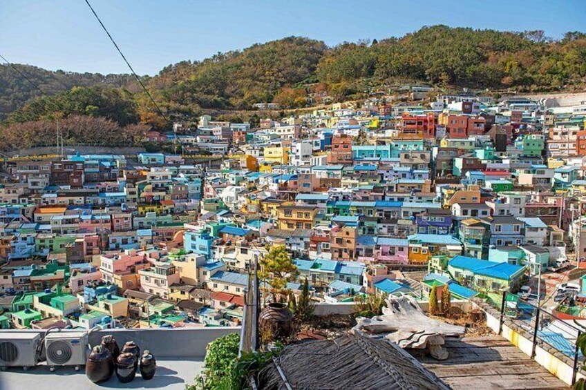 Busan Cruise Shore Excursion with Guaranteed On-Time Return 2