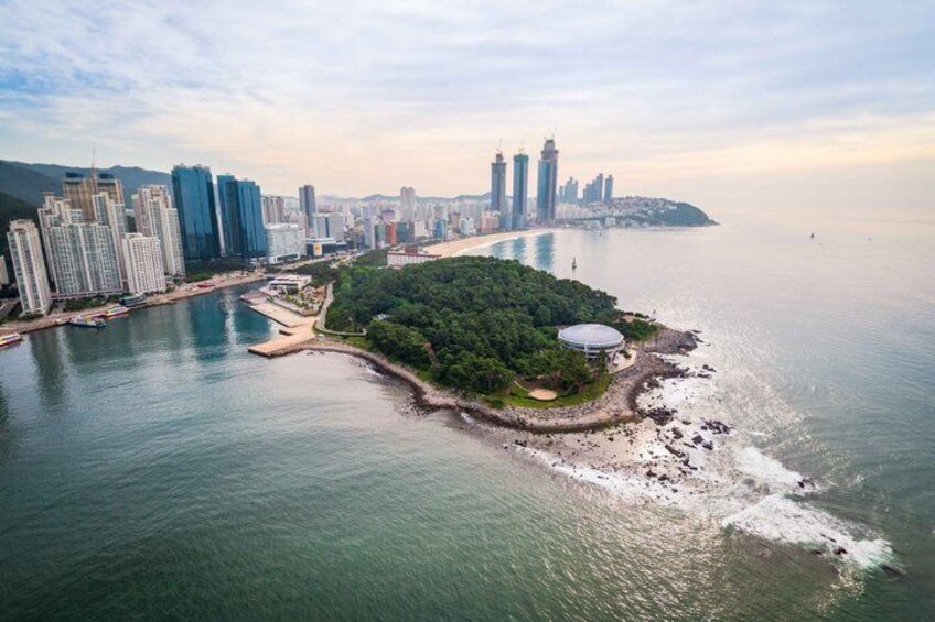 Busan Cruise Shore Excursion with Guaranteed On-Time Return 3