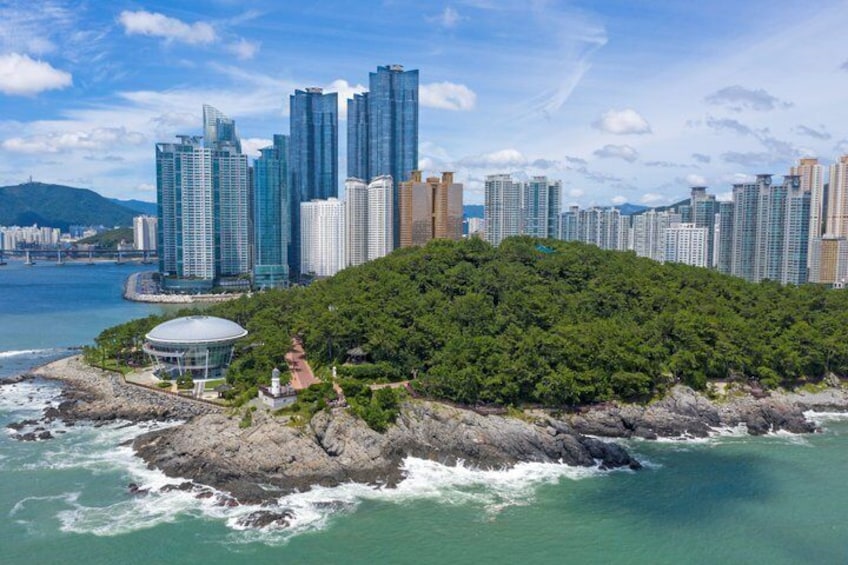 Busan Cruise Shore Excursion with Guaranteed On-Time Return 3