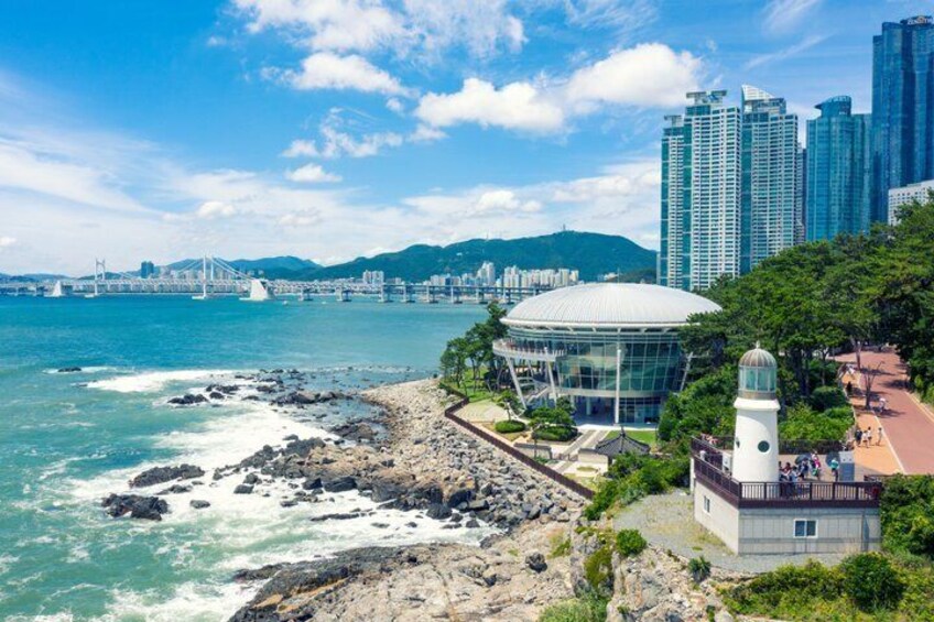 Busan Cruise Shore Excursion with Guaranteed On-Time Return 4